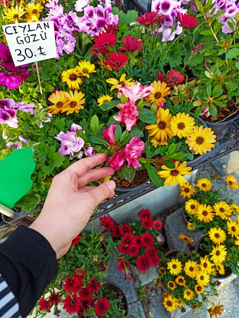 A person's hand is seen selecting a pink and white ruffled flower from a display of vibrant plants, including yellow daisy-like flowers, red and pink blooms, and lush green foliage. The flowers are ar